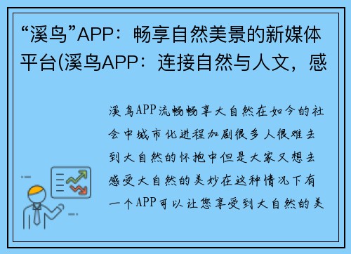 “溪鸟”APP：畅享自然美景的新媒体平台(溪鸟APP：连接自然与人文，感受美景的新媒体平台)
